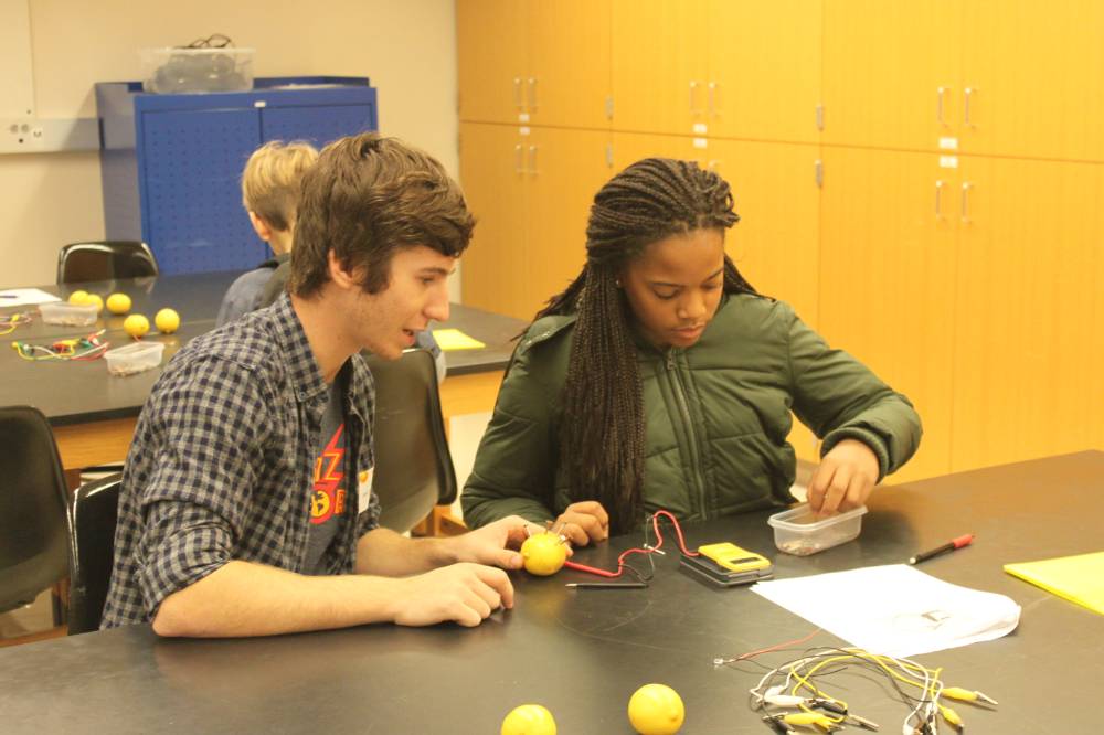 Students explore lemons as a battery source